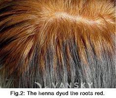 260120134039_Hair-Dying with henna-s.jpg